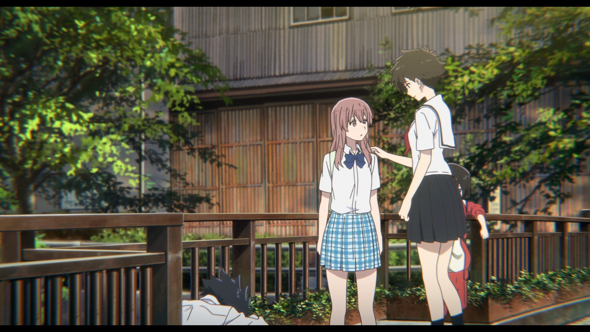 Koe no Katachi