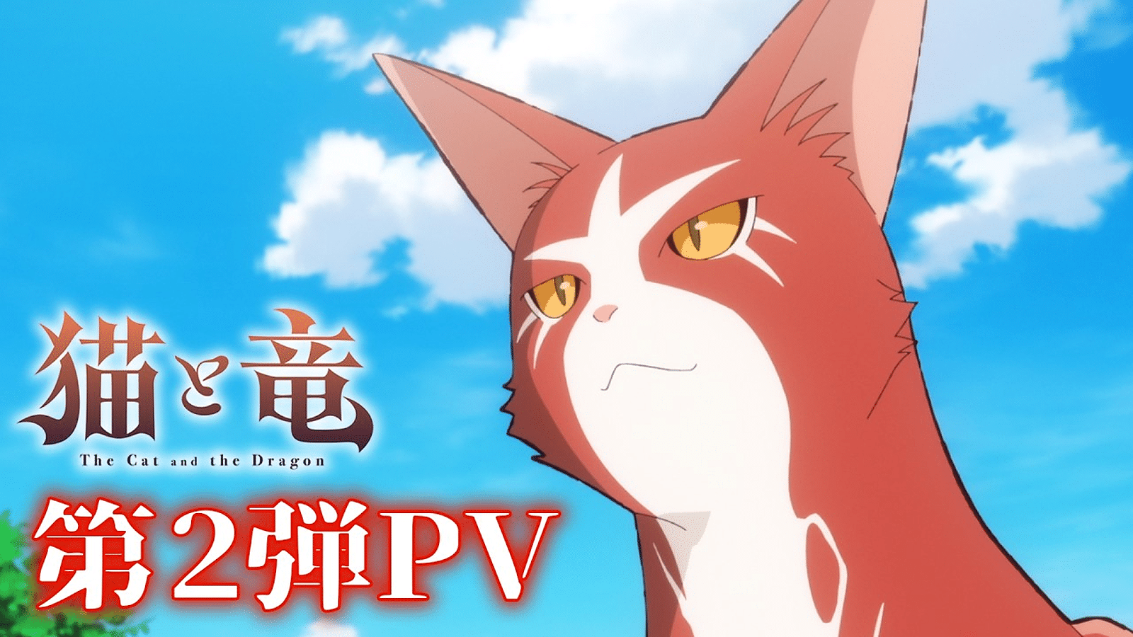 Neko to Ryuu: grafika promocyjna anime